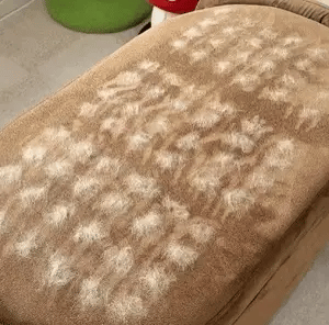 Pet Hair Removal Gloves – Double-Sided Fur Brush