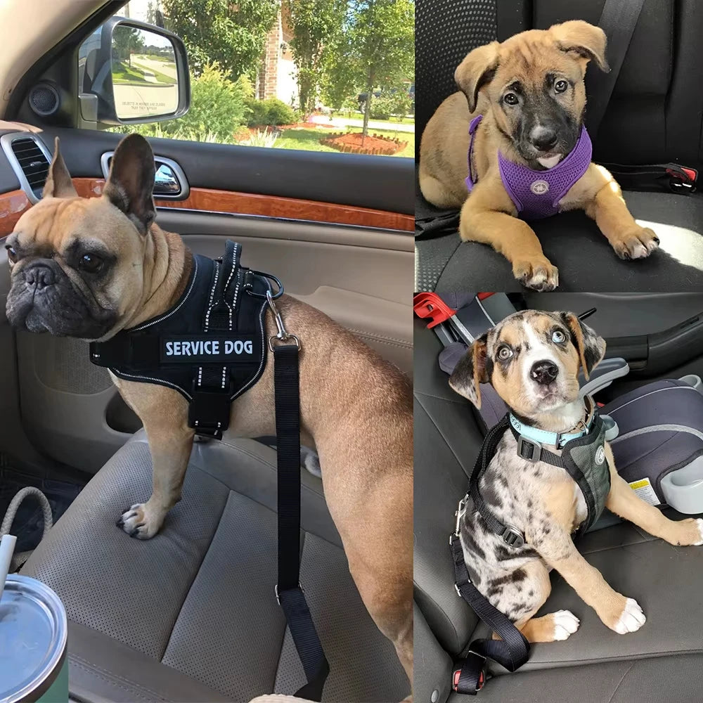 Adjustable Dog Car Seatbelt – Safety Harness for Dogs